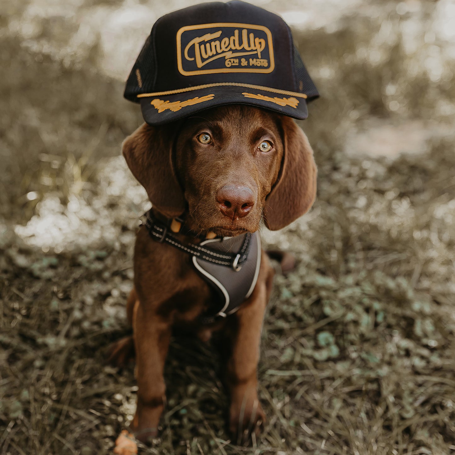 CROSSROAD TRUCKER HAT